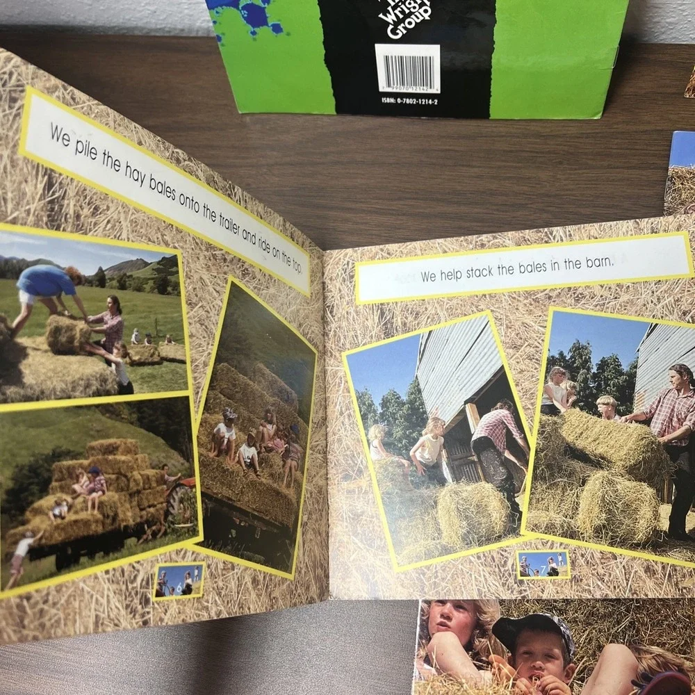 (Lot of 5) Level 1 HAY MAKING Emergent Beginning Readers ( 1st/2nd Grade) Noonan